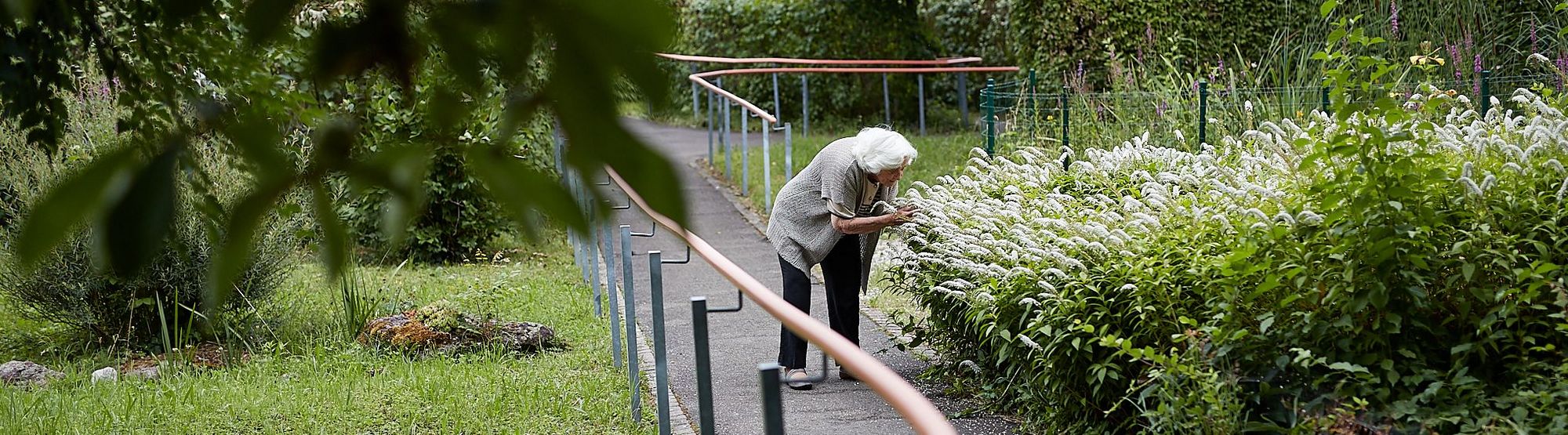 Eine Bewohnerin der Mühlehalde, auf den Wegen der Gartenanlage, beugt sich zu blühenden Pflanzen runter, um ihren Duft zu riechen.