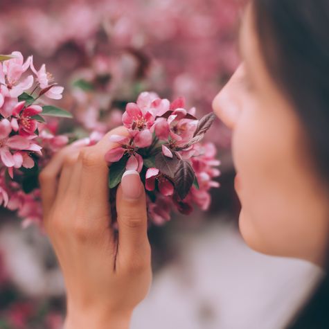 Symbolbild: Junge Frau riecht an einer blütenreichen Plfanze.